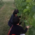 La Guarda *